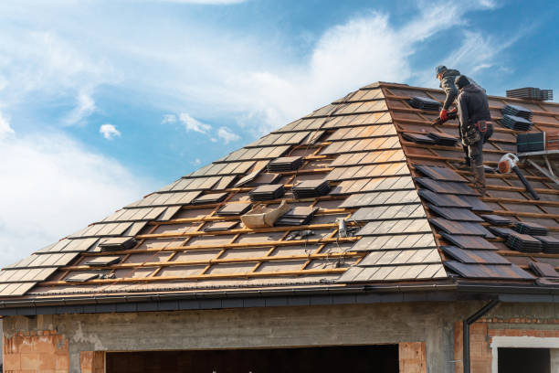 Best Skylight Installation and Repair  in Manly, IA