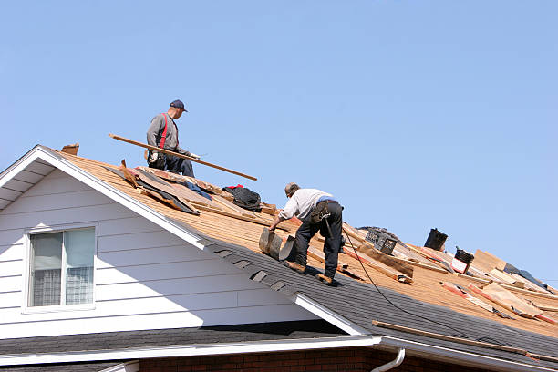 Best Solar Panel Roofing Installation  in Manly, IA