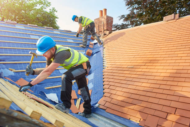Best Gutter Installation and Repair  in Manly, IA